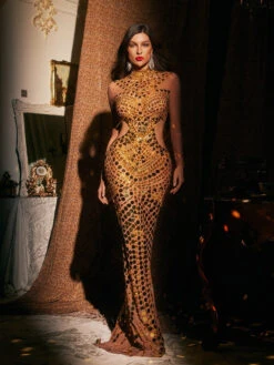 Athelis Cutout Embellished Mesh Maxi Dress