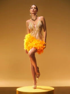 Nyxie Rhinestone Feather Trimmed Mini Dress